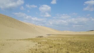 tottori sand dunes g1ddf38eab 1920 1 320x180 - 【2023年度版】鳥取県バーチャルオフィス一覧！０件ならどうする？